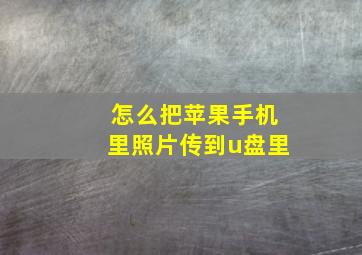 怎么把苹果手机里照片传到u盘里