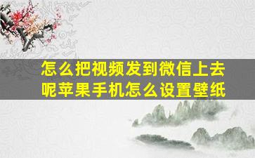 怎么把视频发到微信上去呢苹果手机怎么设置壁纸