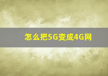 怎么把5G变成4G网