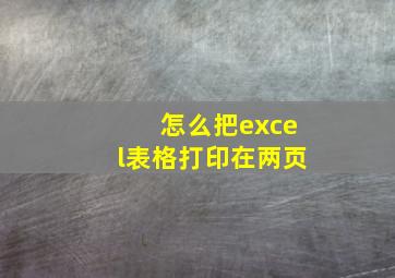 怎么把excel表格打印在两页