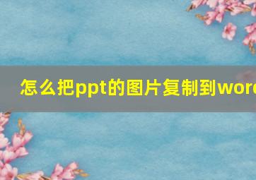 怎么把ppt的图片复制到word