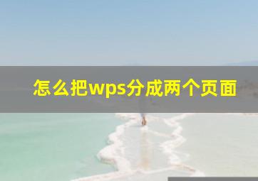 怎么把wps分成两个页面