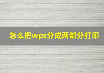 怎么把wps分成两部分打印