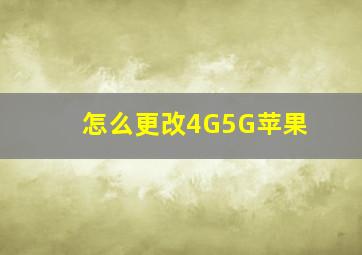 怎么更改4G5G苹果