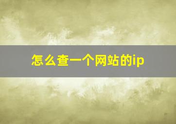 怎么查一个网站的ip