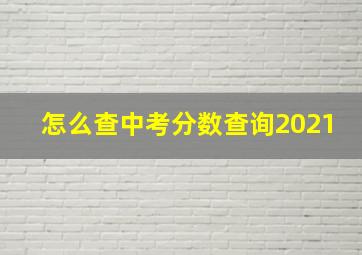 怎么查中考分数查询2021