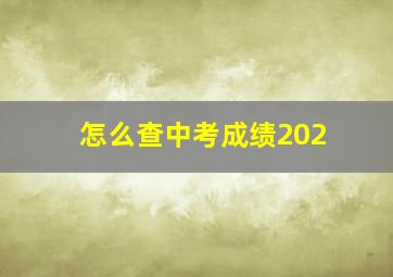 怎么查中考成绩202