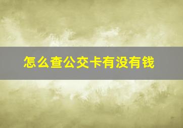 怎么查公交卡有没有钱