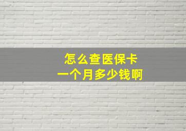 怎么查医保卡一个月多少钱啊