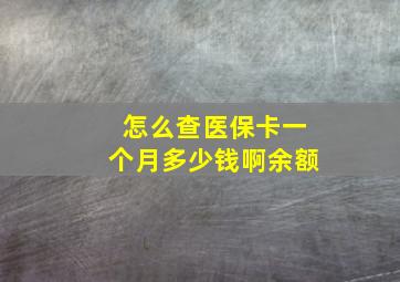 怎么查医保卡一个月多少钱啊余额