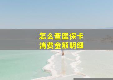 怎么查医保卡消费金额明细