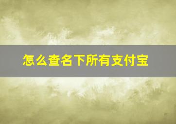 怎么查名下所有支付宝