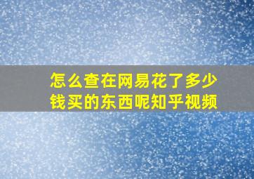 怎么查在网易花了多少钱买的东西呢知乎视频