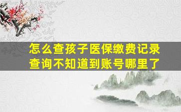 怎么查孩子医保缴费记录查询不知道到账号哪里了