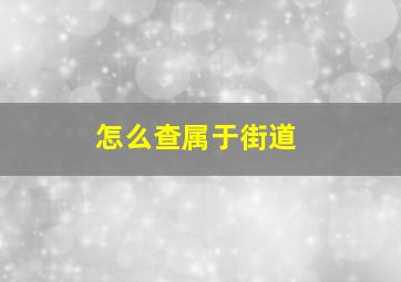 怎么查属于街道