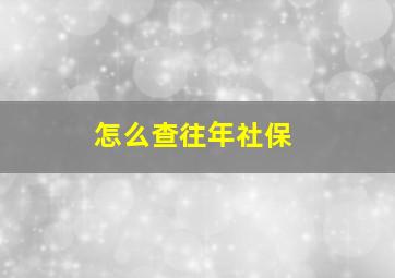 怎么查往年社保