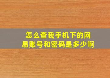 怎么查我手机下的网易账号和密码是多少啊