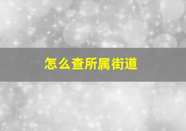 怎么查所属街道