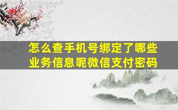 怎么查手机号绑定了哪些业务信息呢微信支付密码