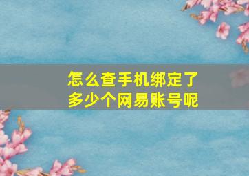 怎么查手机绑定了多少个网易账号呢