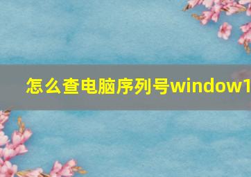 怎么查电脑序列号window10