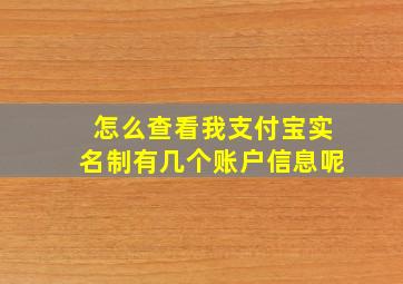 怎么查看我支付宝实名制有几个账户信息呢