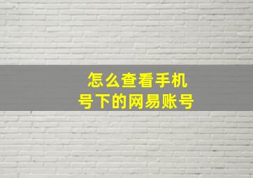 怎么查看手机号下的网易账号