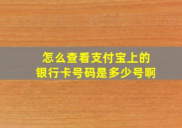 怎么查看支付宝上的银行卡号码是多少号啊