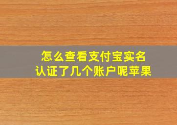 怎么查看支付宝实名认证了几个账户呢苹果