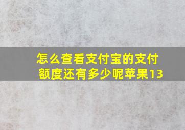 怎么查看支付宝的支付额度还有多少呢苹果13