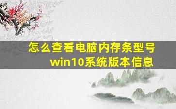 怎么查看电脑内存条型号win10系统版本信息