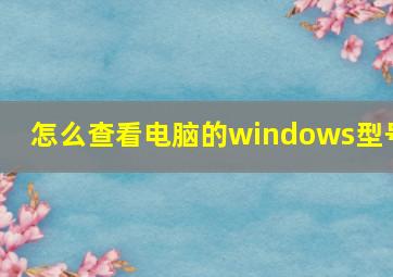 怎么查看电脑的windows型号