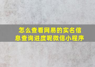 怎么查看网易的实名信息查询进度呢微信小程序