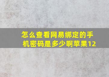 怎么查看网易绑定的手机密码是多少啊苹果12