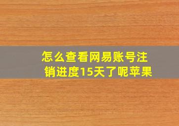 怎么查看网易账号注销进度15天了呢苹果