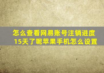 怎么查看网易账号注销进度15天了呢苹果手机怎么设置