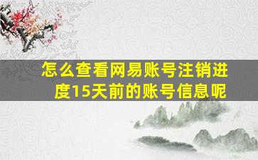 怎么查看网易账号注销进度15天前的账号信息呢