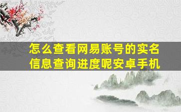 怎么查看网易账号的实名信息查询进度呢安卓手机