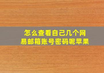 怎么查看自己几个网易邮箱账号密码呢苹果