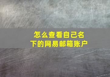 怎么查看自己名下的网易邮箱账户