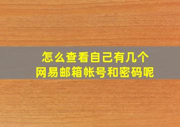 怎么查看自己有几个网易邮箱帐号和密码呢