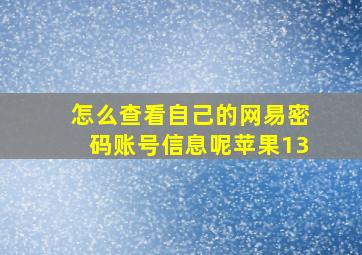 怎么查看自己的网易密码账号信息呢苹果13