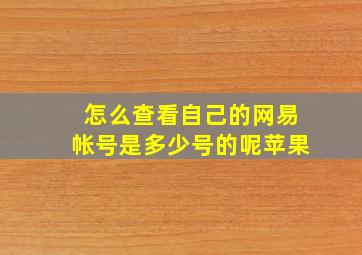 怎么查看自己的网易帐号是多少号的呢苹果