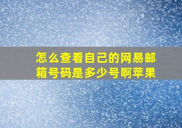 怎么查看自己的网易邮箱号码是多少号啊苹果