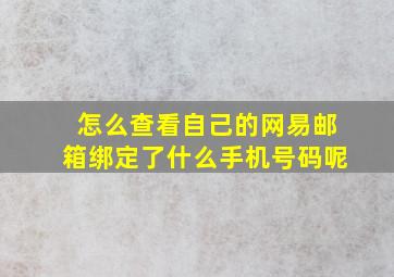 怎么查看自己的网易邮箱绑定了什么手机号码呢