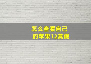 怎么查看自己的苹果12真假