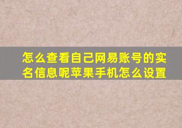 怎么查看自己网易账号的实名信息呢苹果手机怎么设置