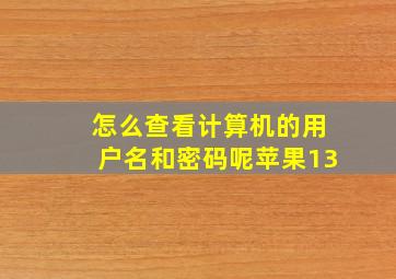 怎么查看计算机的用户名和密码呢苹果13