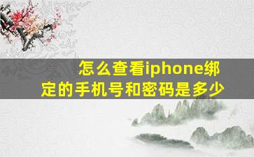 怎么查看iphone绑定的手机号和密码是多少