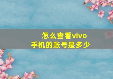 怎么查看vivo手机的账号是多少